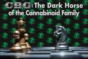CBG - The Dark Horse of the Cannabinoid Family - Canna Health Amsterdam
