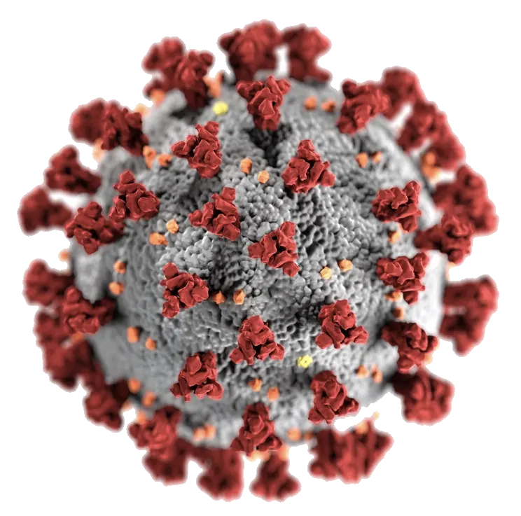 COVID-19 molecule