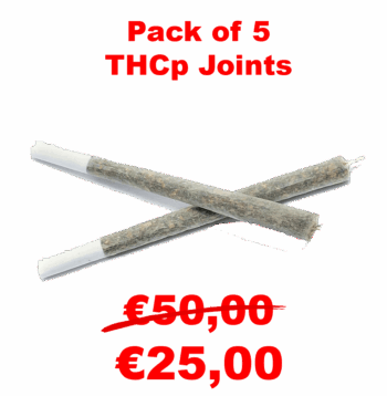 Pack of 5 THCp Joints