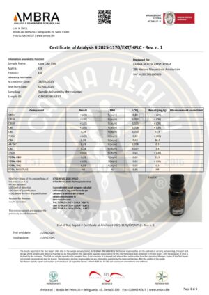 No 15 CBN - CBD