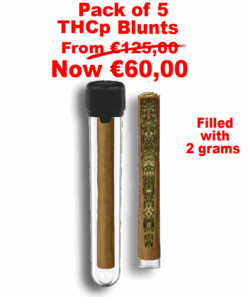 Pack of 5 THCp Blunts - Filled with 2 grams