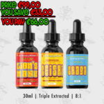 Adaptogenic Mushroom Tincture Bundle – Lion’s Mane, Reishi & Chaga